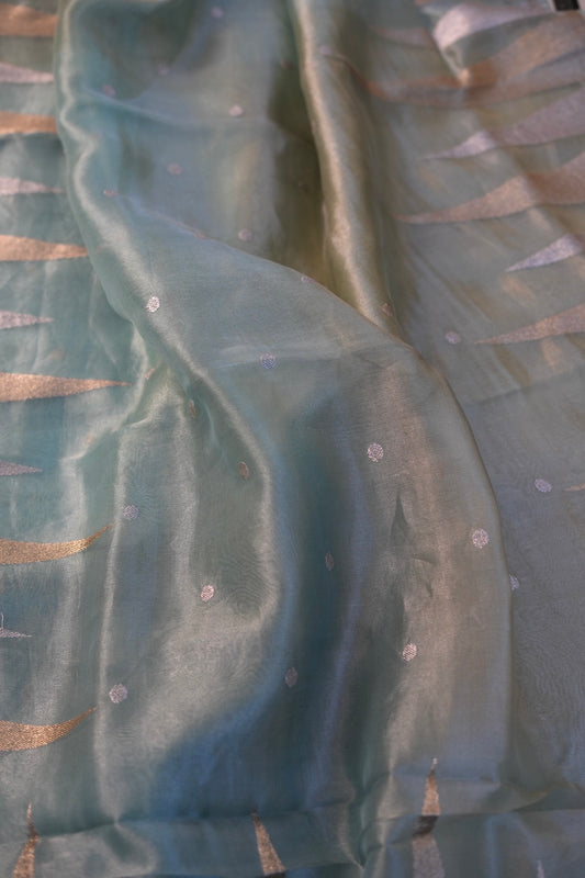 Tissue Organza Saree