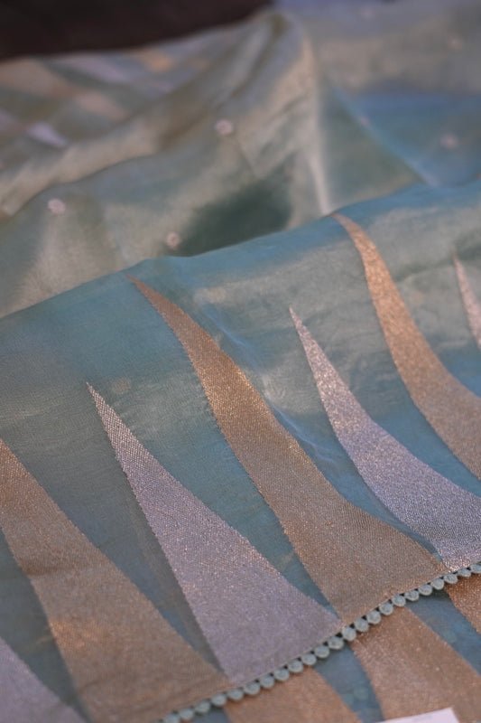 Tissue Organza Saree