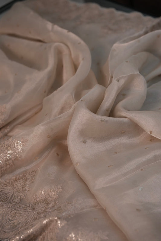 Pure Fancy Tissue Saree with Designer Border